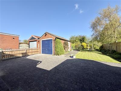 Picture 23
